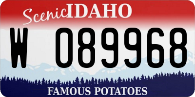 ID license plate W089968