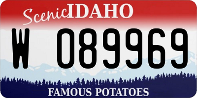ID license plate W089969