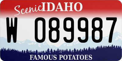 ID license plate W089987