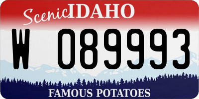 ID license plate W089993