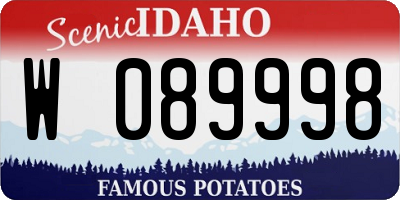 ID license plate W089998