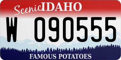 ID license plate W090555
