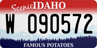 ID license plate W090572