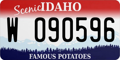 ID license plate W090596