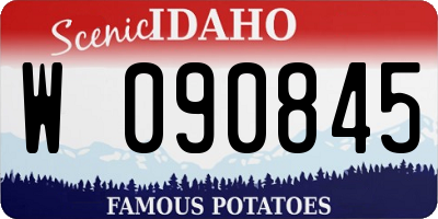 ID license plate W090845