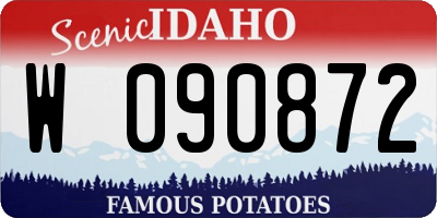 ID license plate W090872