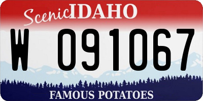 ID license plate W091067