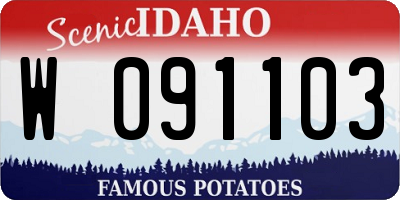 ID license plate W091103