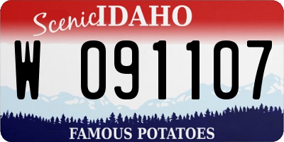 ID license plate W091107