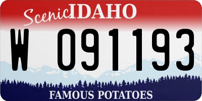 ID license plate W091193