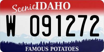 ID license plate W091272
