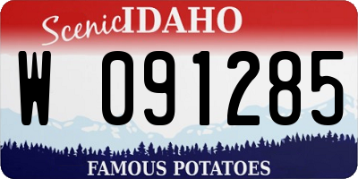 ID license plate W091285