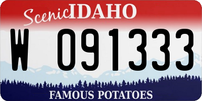 ID license plate W091333
