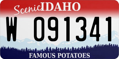 ID license plate W091341