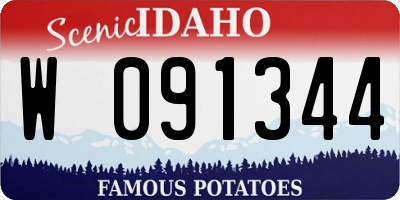 ID license plate W091344