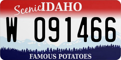 ID license plate W091466