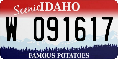 ID license plate W091617