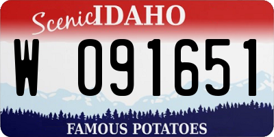 ID license plate W091651