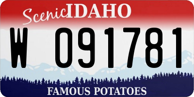 ID license plate W091781