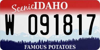 ID license plate W091817