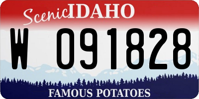 ID license plate W091828