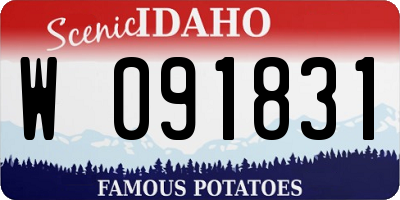 ID license plate W091831