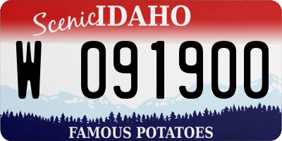 ID license plate W091900