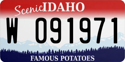ID license plate W091971