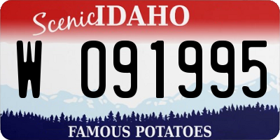 ID license plate W091995