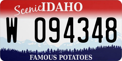 ID license plate W094348