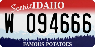 ID license plate W094666