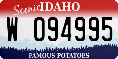 ID license plate W094995