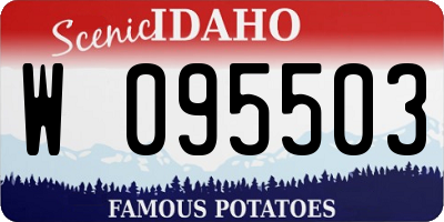 ID license plate W095503