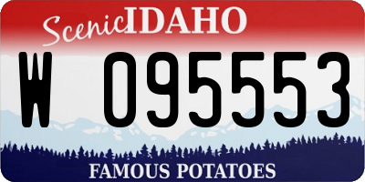 ID license plate W095553