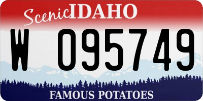 ID license plate W095749