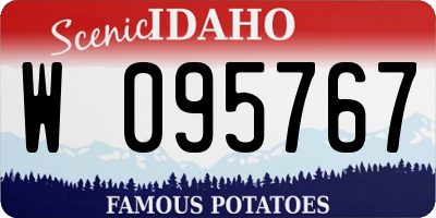 ID license plate W095767