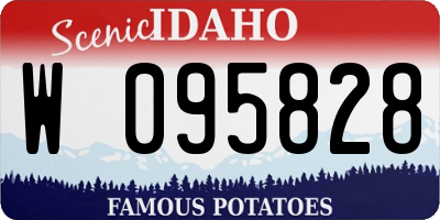 ID license plate W095828