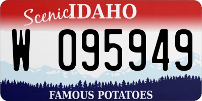 ID license plate W095949