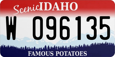 ID license plate W096135