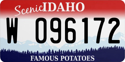 ID license plate W096172