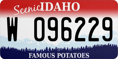ID license plate W096229