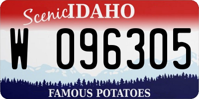 ID license plate W096305