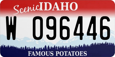 ID license plate W096446