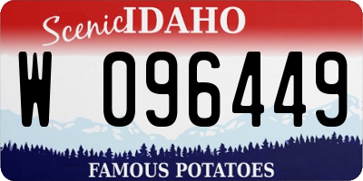 ID license plate W096449