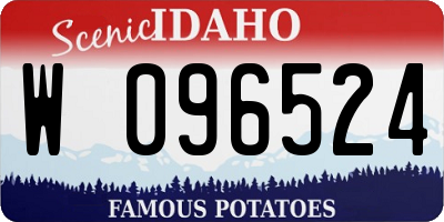 ID license plate W096524
