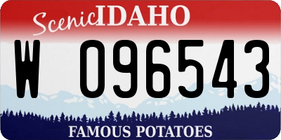 ID license plate W096543