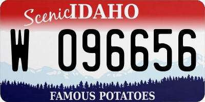 ID license plate W096656