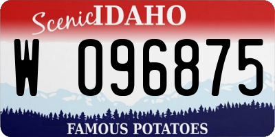 ID license plate W096875