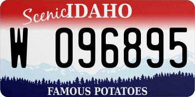 ID license plate W096895