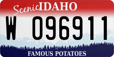 ID license plate W096911
